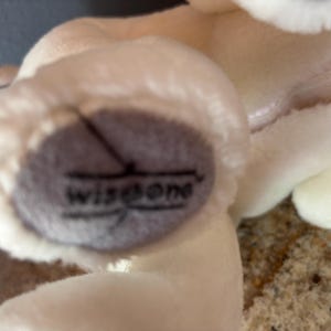 Puede incluir: Primer plano del pie de un juguete de peluche blanco con una almohadilla gris. La almohadilla tiene la palabra "wisdone" impresa en negro. El juguete es suave y esponjoso, con un cuerpo color crema.