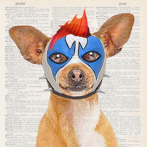 Lucha Clownboy | Art Print