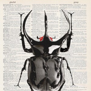 Könnte beinhalten: Eine Schwarzweißillustration eines Käfers mit großen Mandibeln. Der Käfer ist über eine Seite Text aus einem Wörterbuch gelegt. Der Text enthält das Wort "grasp" und Definitionen für Wörter, die sich auf den Magen und das Verdauungssystem beziehen.