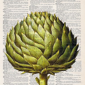 Artichoke | Art Print