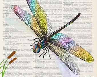 Dragon Fly | Art Print