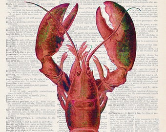 Lobster | Art Print