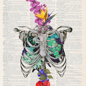 Rib Cage | Art Print