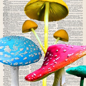 Festive Funghi | Art Print
