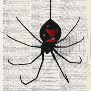 Könnte beinhalten: Eine schwarze und rote Spinne mit langen Beinen sitzt auf einem Netz. Die Spinne befindet sich in der Mitte des Bildes und das Netz besteht aus dünnen, weißen Fäden. Die Spinne ist von Text aus einer Wörterbuchseite umgeben.