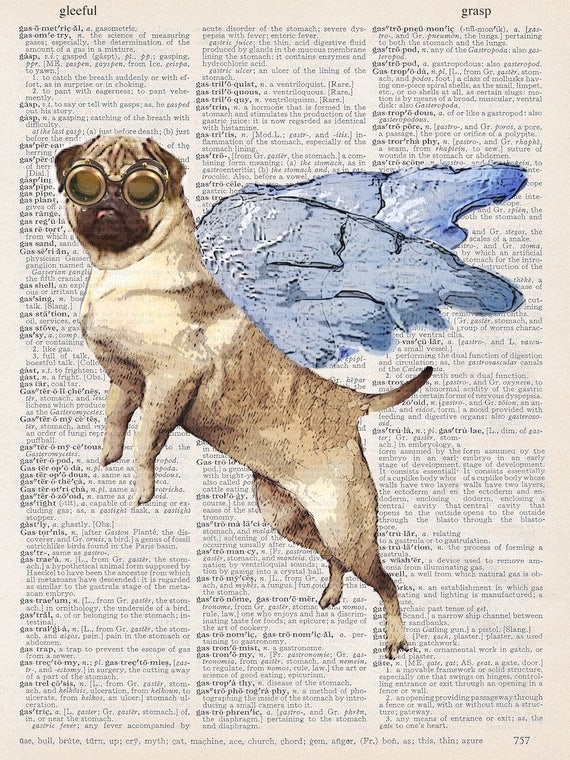 Pugs might fly wall art online