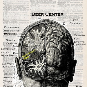 Male Brain | Art Print
