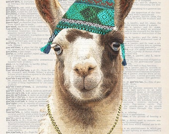 Imma lama / stampa d'arte