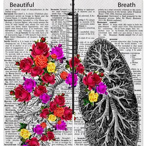 Può includere: Una pagina di dizionario vintage con un disegno floreale sul lato sinistro e un'illustrazione in bianco e nero di polmoni sul lato destro. La pagina del dizionario include definizioni di parole come "berserk", "berth" e "breath".
