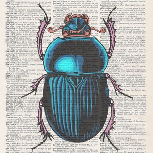 Scarab | Art Print