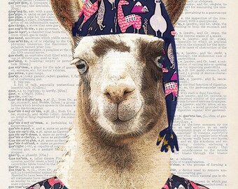 Lama in pigiama / stampa d'arte