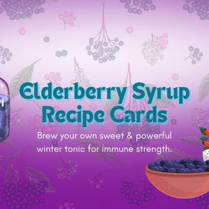 May include: A graphic design featuring the text Elderberry Syrup Recipe Cards and Brew your own sweet & powerful winter tonic for immune strength. Includes a glass bottle of liquid, a bowl of dark berries, and a mortar and pestle with flowers.
