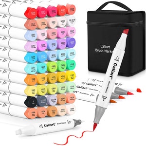 12/24/36/48 pcs Alcohol Markers Brush Tip: Double Tipped Art Marker Set for  Artist Adults Coloring Sketching Drawing Illustrations - Brush Chisel Dual  Tips - 12/24/36/48-Color Markers