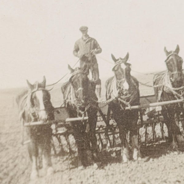 Vintage 1910s Sepia Photograph Farmer Plowing Field Four Horse Team Draft Horses Antique Agriculture Ephemera Rural Americana Farm Decor