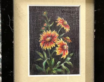 Indian Blanket