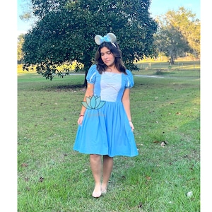 Cinderella dress, Cinderella adult dress, Cinderella Women&#39;s dress, Disneybounding dress, dapper dress, vintage dress