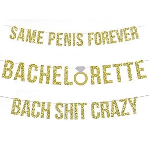 bachelorette party banners (3 styles!) - party decor - custom message glitter banner