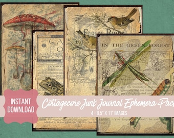 Vintage Ephemera Pack, Cottagecore Room Decor, Junk Journal Printable Kit, Collage Sheets, Decoupage Papier, Vintage Wandkunst