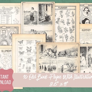Antique Book Pages, Vintage Paper, Junk Journal Ephemera Pack, Instant Digital Download, Set #4
