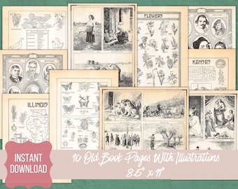 Antique Book Pages, Vintage Paper, Junk Journal Ephemera Pack, Instant Digital Download, Set #4