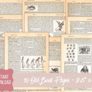 Old Book Pages, Vintage Paper, Junk Journal Ephemera Pack, Instant Digital Download, Set #1