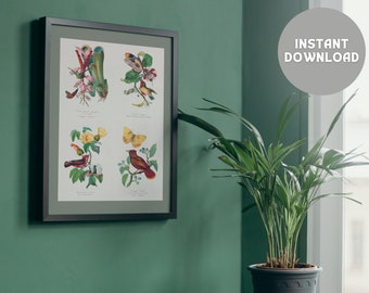 Garden Birds Poster Botanical Wall Art Printable Vintage Bird Illustration Art