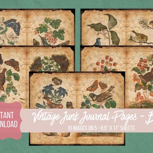 Ephemera Pack, Printable Junk Journal Collage Sheets, Decoupage Paper