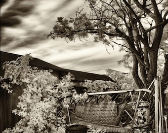 Oz - B/W Fine Art : clôture patinée, ciel anxieux