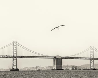 Span - Mouette et pont N/B Fine Art : l'homme et la nature