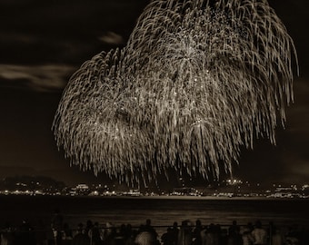 Light Rain - Des feux d'artifice peignent la nuit, unissant diverses âmes sur le rivage. Un affichage fugace, un appel intemporel.