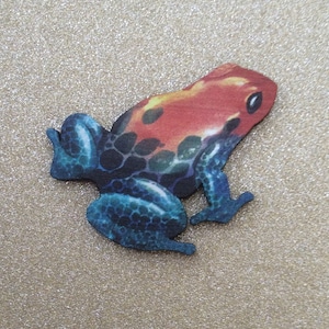 Frog Pin/Frog Badge/Frog Brooch /Frog Pendant/ Frog Accessories/Frog Jewelry/Frog Jewellery/ Toad Pins/Toad Brooch/Toad Badge