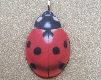Ladybird jewelry ,Ladybug Pendant,Ladybug Jewelry,Ladybird Jewellery,Ladybird Brooch,Ladybug Brooch,Ladybird Pin,Ladybird Badge,Ladybug Pins