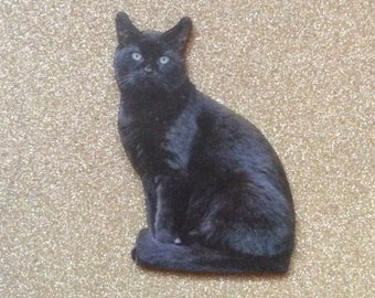 Schwarze Katze Brosche /Schwarze Katze Schmuck/Schwarze Katze Pins / Schwarze Katze Geschenkideen / Schwarze Katze Accessoire/Katzen Anhänger /Schwarze Katze Needle Minder