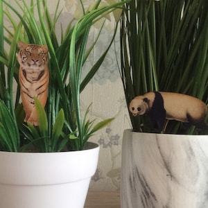 Puede incluir: Dos plantas en maceta con un recorte de tigre y panda en cada maceta. La maceta de la izquierda es blanca y la maceta de la derecha tiene un patrón de mármol.