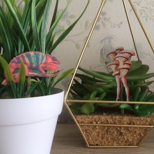 Puede incluir: Un terrario geométrico dorado con una variedad de suculentas verdes y un recorte de papel de una persona hongo. El terrario está sentado sobre una superficie de madera.