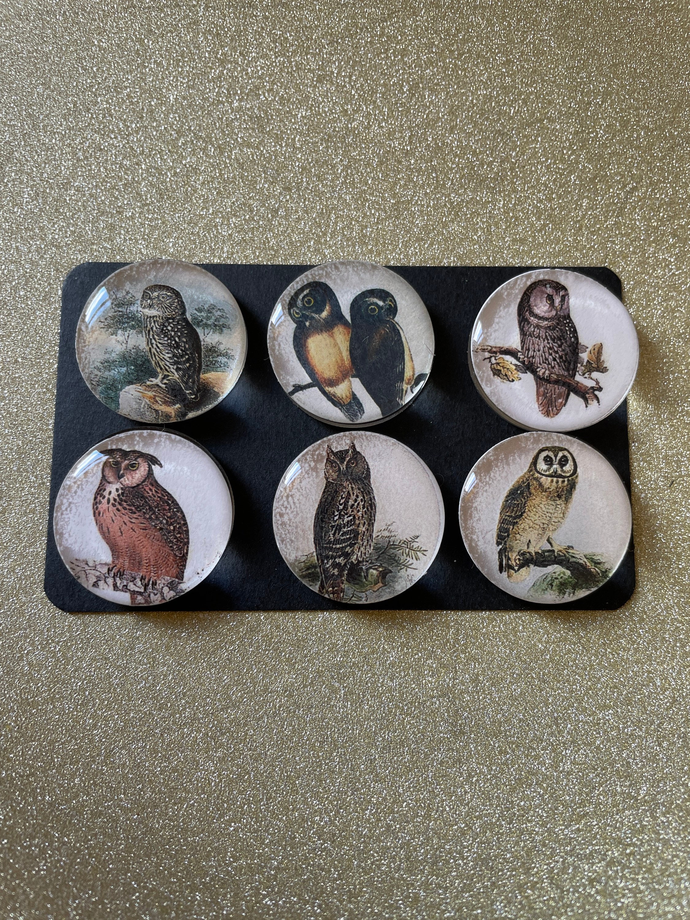 6 grumpy owl fridge,memo,decor magnets Lovely little gift idea 