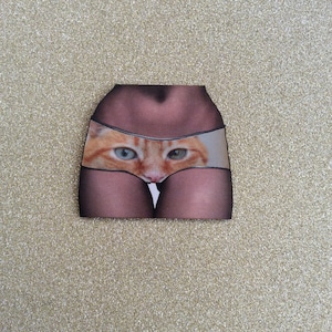 Jengibre gato pin / gato declaración de arte joyería / insignias de gato / gato en pantalones colgante / colgante de animales Risqué / colgante de gato / joyería de declaración