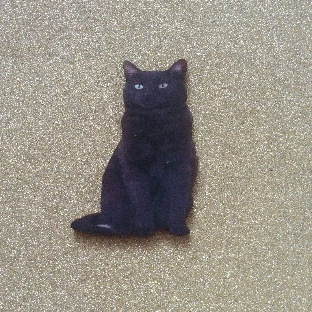 Black Cat Brooch /black Cat Jewellery/black Cat Pins / Black Cat Gift