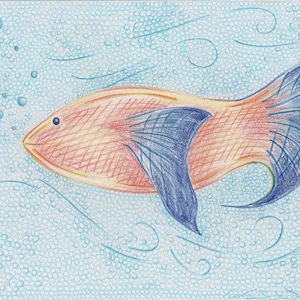 金魚のオリジナルデザイン画のデジタルプリント