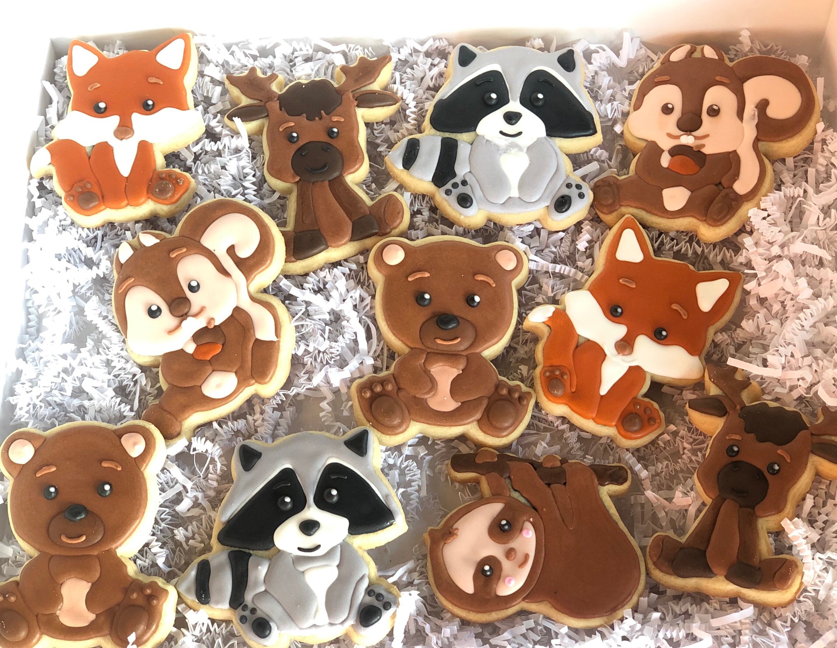 WoodLand Animal Cookies Etsy