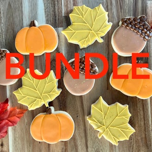 Fall Cookie Class for Beginners BUNDLE