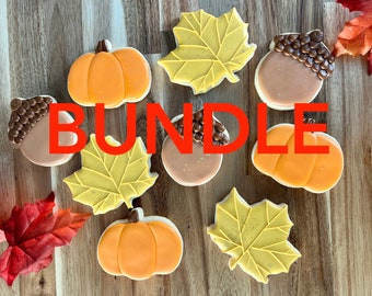 Fall Cookie Class for Beginners BUNDLE