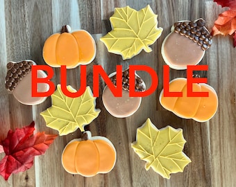 Fall Cookie Class for Beginners BUNDLE