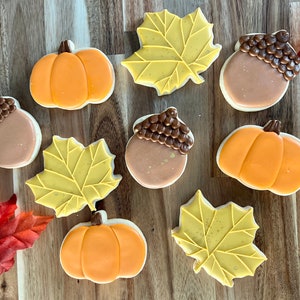 Fall Cookie Class for Beginners