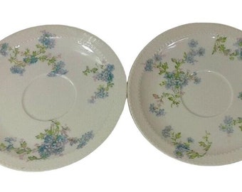 Vintage Haviland & Co Limoges France Saucers Multicolor Floral 2 Sets of 2~ Lot of 4 Decorative Collectible