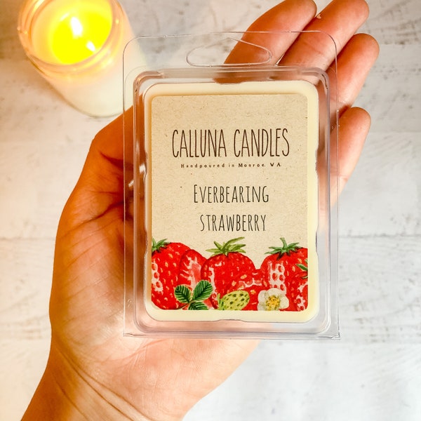 Everbearing Strawberry  Soy Wax Melts | Clamshell Melts | Flameless Candle |Scented Soy Tart |