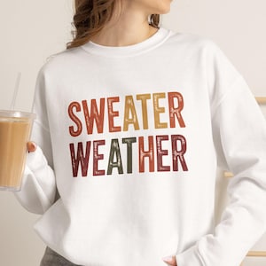 Sudadera para clima otoñal / Cuello redondo acogedor para otoño / Camiseta con estética otoñal / Suéter otoñal para profesores / Conjunto para el campo de calabazas / Top para amantes del otoño