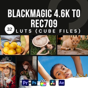 Blackmagic Luts- Luts pour les séquences vidéo de la caméra Blackmagic 4.6K vers Rec 709 Conversion Luts-Blackmagic 4.6K, séquences vidéo, préréglages de couleurs