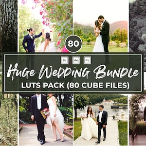 80 Huge Wedding Bundle luts Adobe Premiere Pro LUTs Pack Adobe after effects luts Video Editing Luts Video Presets for DaVinci Resolve Vlog