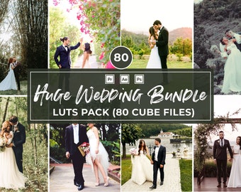 80 Wedding LUTs Bundle, Video Editing Presets (Adobe, DaVinci)